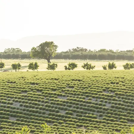 Apartament Domaine Demol Valensole