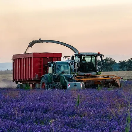 Domaine Demol Apartament