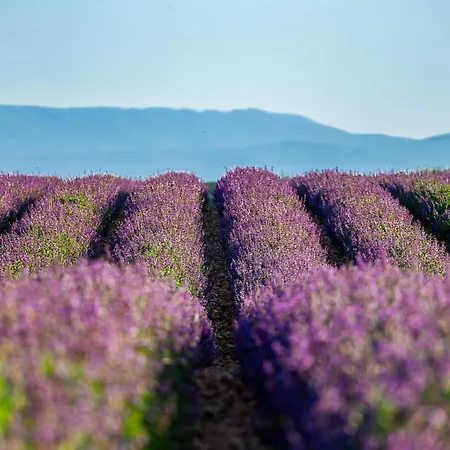 Domaine Demol Apartment *