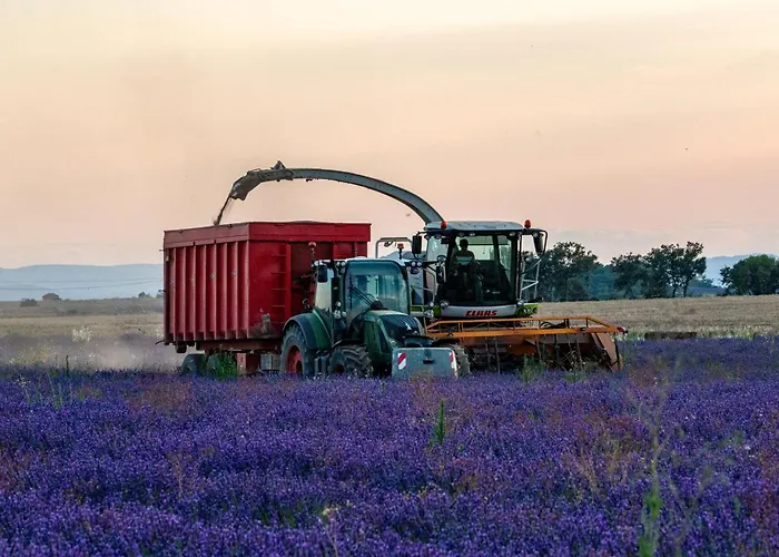 Domaine Demol Apartment